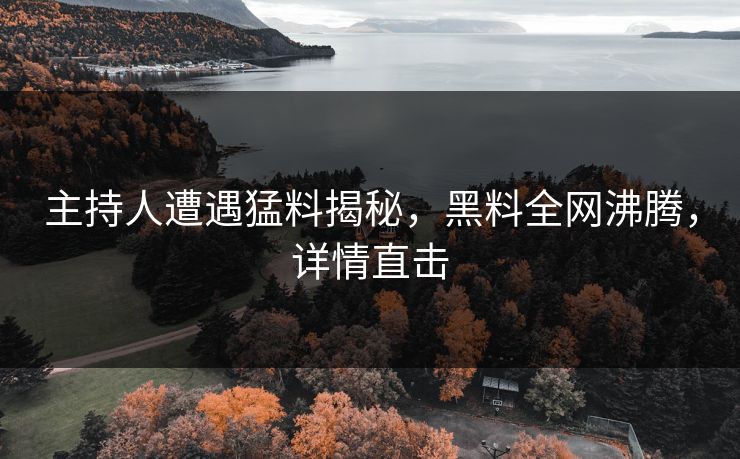 主持人遭遇猛料揭秘，黑料全网沸腾，详情直击